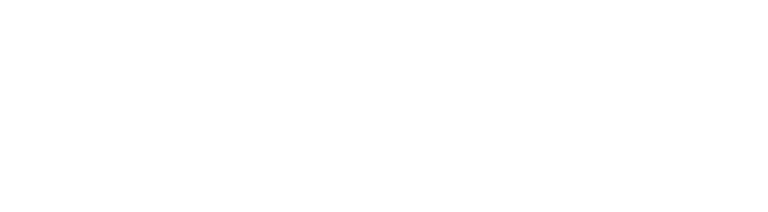 strayshot logo
